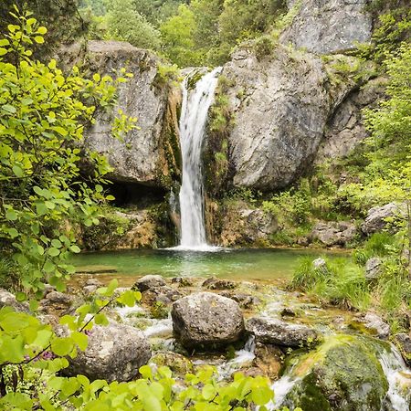 Στη Γοητεία Του Ολύμπου Daire Litóchoron Dış mekan fotoğraf